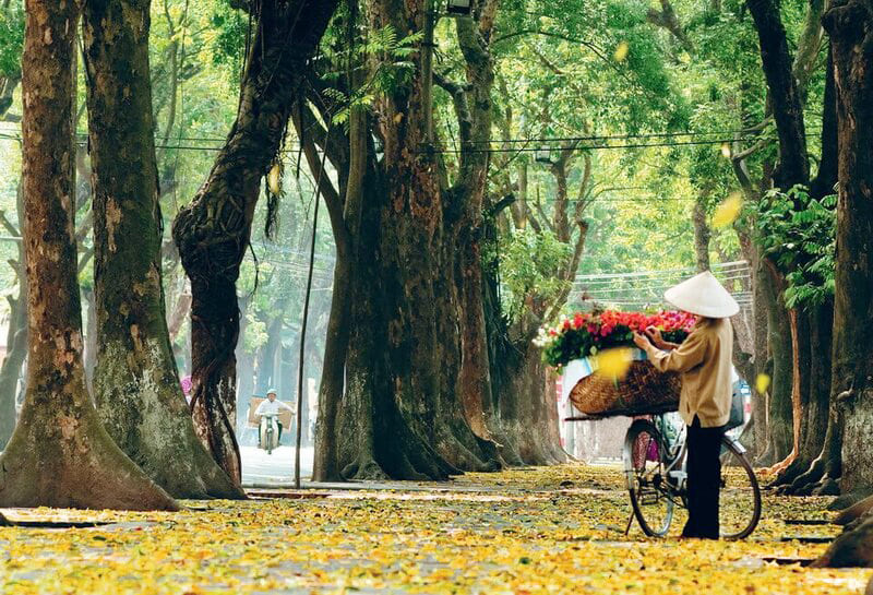 Vietnam en octobre où partir, météo, infos pratiques et sites à visiter